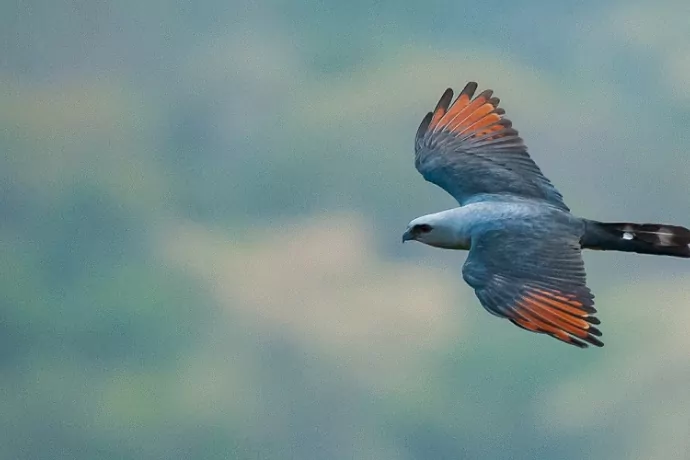 chapada-dos-guimaraes