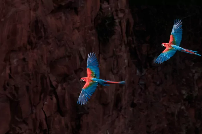 giuliano-bernardon-1827-2-2