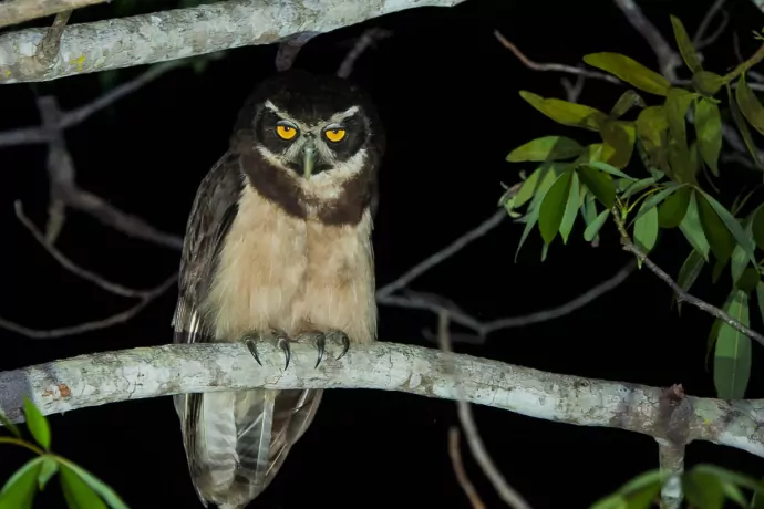 giuliano-bernardon-3367-2-2