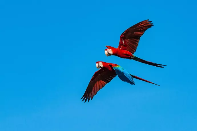 giuliano-bernardon-4383-2