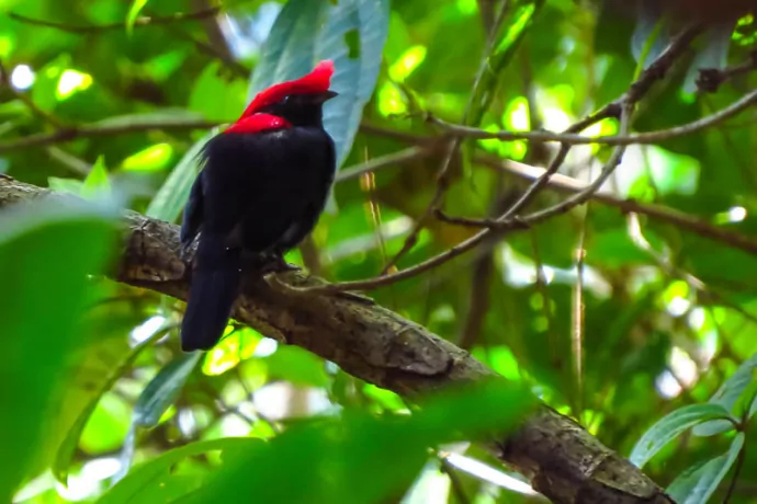 giuliano-bernardon-9689-2