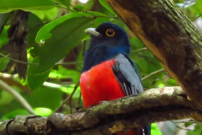 giuliano-bernardon-9704-2-4