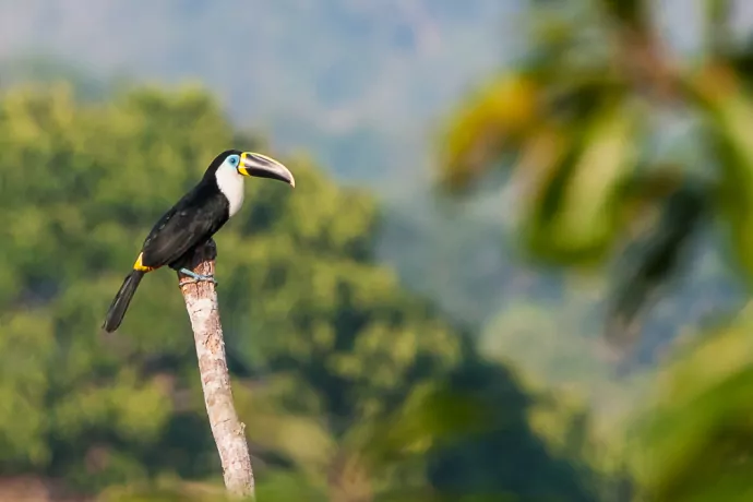 giuliano-bernardon01-40-2